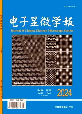 电子显微学报封面